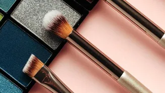 Buy Bold Brushes for Perfect Makeup Look!
