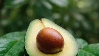 Is Avocado Really a Superfood?