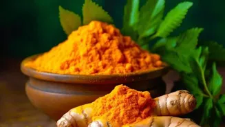 India's Food: A Delicious Spice Adventure
