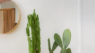 Green Decor: 10 Tips to Elevate Your Home