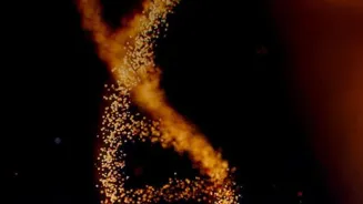 Human Genome: Five Genetic Discoveries Emerge