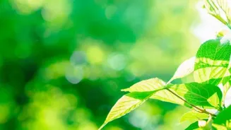 Outdoor Activities Enrich Your Life In 5 Ways