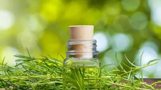 Are Essential Oils Really Effective?