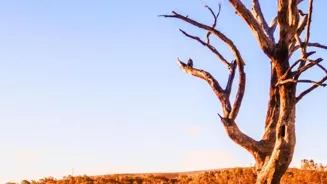 Climate Crisis: 8 Key Insights Offer Hope