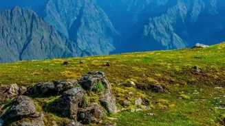 Discover Hidden Wildlife in the Himalayas