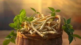 Herbs Boost Your Health Naturally!