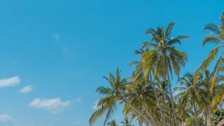 Is Travel Insurance Worth It? Find Out Now.