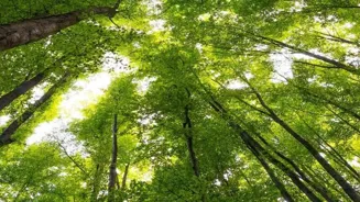 Go Green: Find Your Eco-Friendly Business!