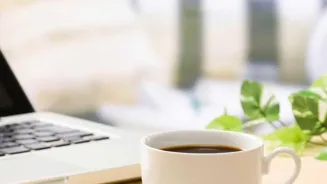Succeed in Your Career Transition Now!