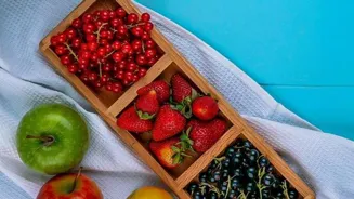 Boost Your Health: Key Factors Revealed