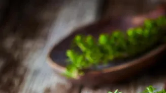 Cooking Chronicles: Crave-Worthy Creations Await!