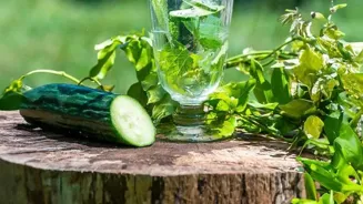 Stay Hydrated for Better Health and Mood