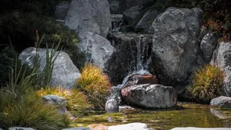 Find Peace: Mindfulness for Happy Living