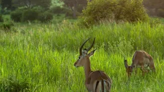 Explore National Parks Safely and Smartly