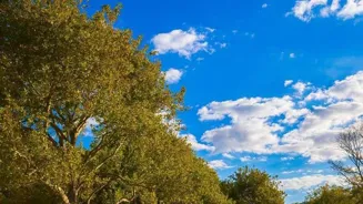 Take Mental Health Days to Improve Your Mind