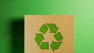 Use These 7 Eco-Friendly Marketing Strategies