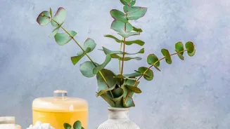 DIY Home Decor Inspired by Nature is Fun!