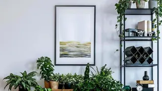 Perfect Plants Will Empower Your Home Decor