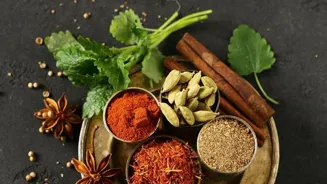 India Explores Its Delicious Vegetarian Food