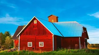 Why Is Organic Food So Expensive?