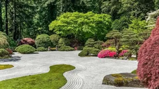 Find Your Inner Peace Through Meditation