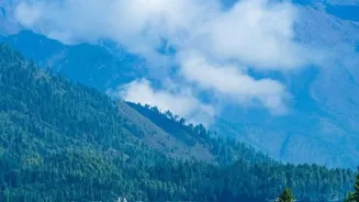 Escape to Nature's Most Beautiful Wilderness!