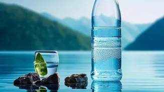 Create Your Own Wellness Plan Today!