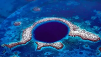 Microbes' Secrets Are Being Revealed Now.