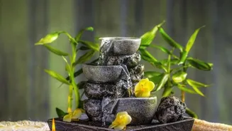 5 Daily Habits Boost Your Ayurvedic Wellness