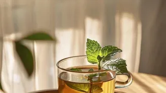 Rise and Shine Rituals: Energize Your Mornings in 10 Magical Ways!