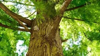 Save the Planet: 9 Powerful Eco-Friendly Actions