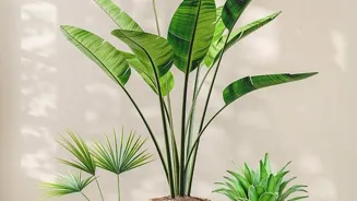 Create Indoor Plant Paradise With These Ideas