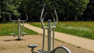 Get Fit Without the Gym and Skip the Sweat!
