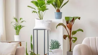 Simple Living: 8 Ways Minimalism Transforms You