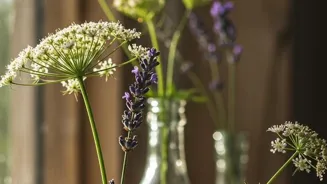 Herbal Medicine: Natural Healing is Here Now