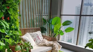 Light Affects Health and Habitat