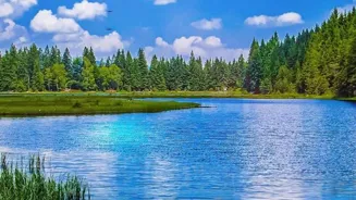 Heal and Thrive: Embrace Nature's Power.