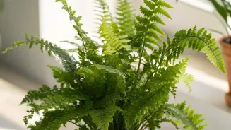 Easily Create Your Indoor Garden Oasis