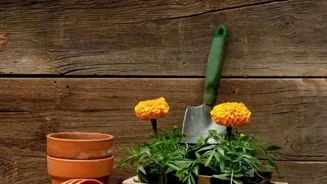 Grow a Flourishing Garden: 7 Key Tips Inside