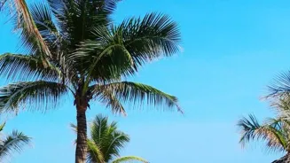 7 Great Family Trip Ideas Kids Will Love