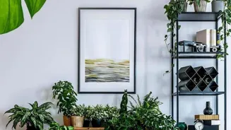 Eco-friendly Elegance: Embrace Earth's Essence for a Greener Glow!