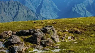 Travel Insurance: Your Adventure Guide