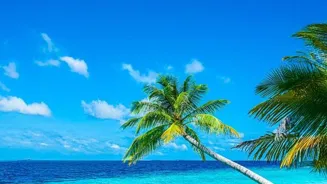Escape to Paradise: 8 Beautiful Beaches Await