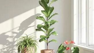 Design a Home Inspired by Natural Elements.
