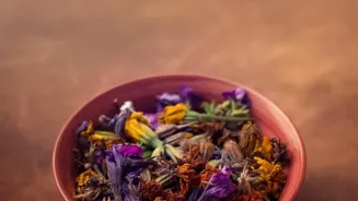 Cook Amazing Biryani and Spice Up Your Life
