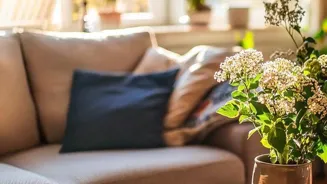 Unplug and Detox: 8 Health Benefits Await