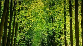 Is Grounded Walking Good For Your Health?