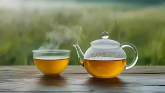 Explore Ten Tempting Tea Varieties Today