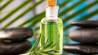 Hydrate Your Hair for Healthy, Happy Locks