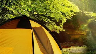 Top 10 Camping Spots Offer Enchanting Escapes